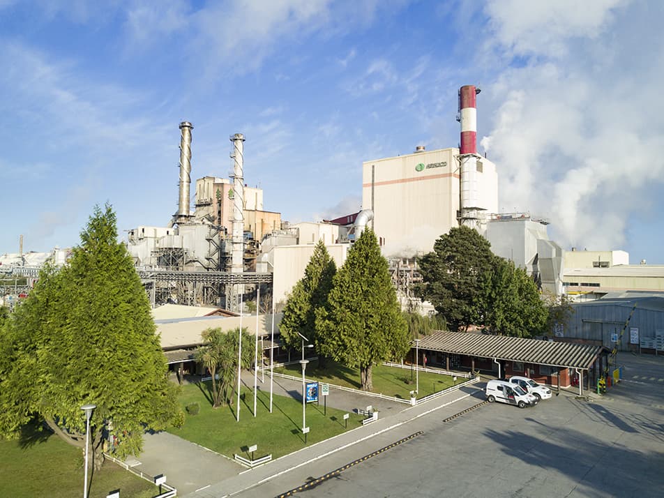 Imagen: arauco.cl