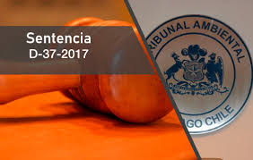 Segundo Tribunal Ambiental condenó a la empresa minera a reparar el daño ambiental causado en la ensenada El Asiento en la comuna de San Felipe.