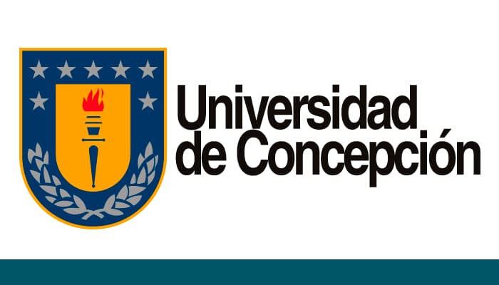 Juzgado de Letras del Trabajo acogió demanda de despido indebido interpuesta contra la Universidad de Concepción.