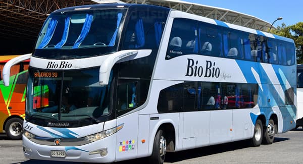Juzgado de Letras del Trabajo de Temuco rechazó acción de tutela laboral y acogió demanda de despido injustificado deducida por un conductor de buses.