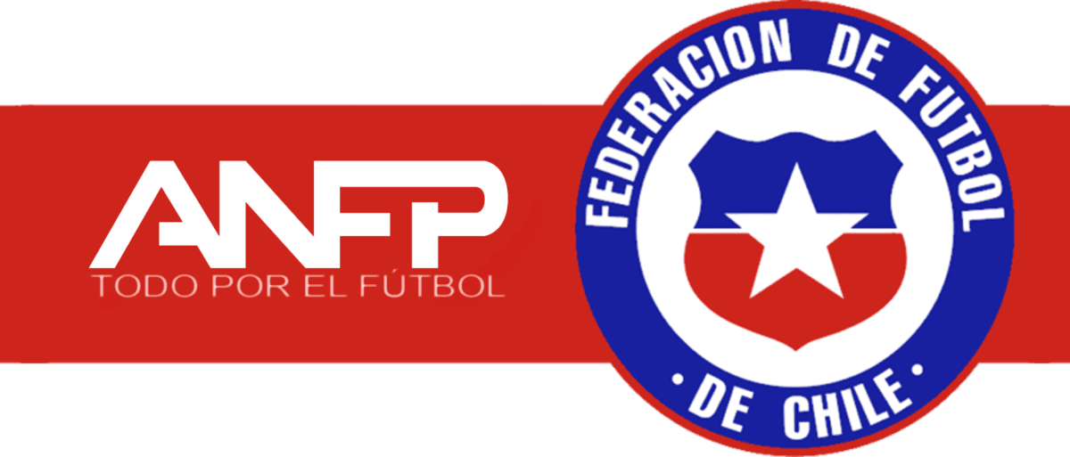 ANFP recurre al Tribunal Constitucional por sanción que no le permitiría celebrar contratos con el Estado por haber sido condenada por infracción a derechos fundamentales de un trabajador.