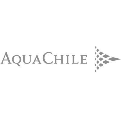 Juzgado de Letras del Trabajo de Puerto Montt acogió reclamación judicial y dejó sin efecto multa cursada por la Inspección del Trabajo ascendente a 153 UTM.