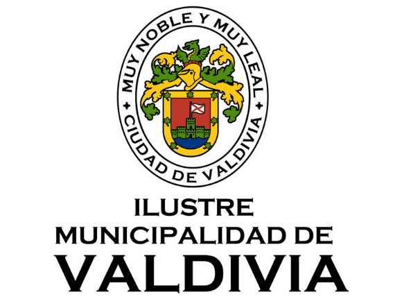Decisión de rechazar la oferta y declarar desierta la licitación por la consideración genérica de no ser conveniente a los intereses municipales, contraviene los principios y disposiciones que regulan la contratación pública.