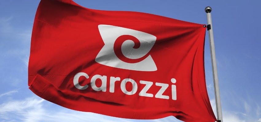 Juzgado de Letras del Trabajo de Curicó rechazó demanda de despido indebido interpuesta en contra de Carozzi S.A.