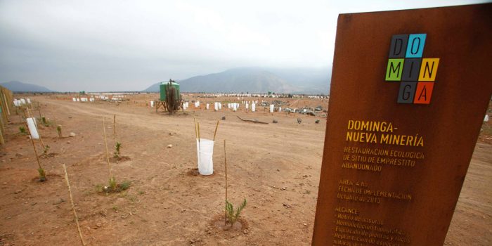 Primer Tribunal Ambiental acoge reclamación a favor de Proyecto Minero Dominga.