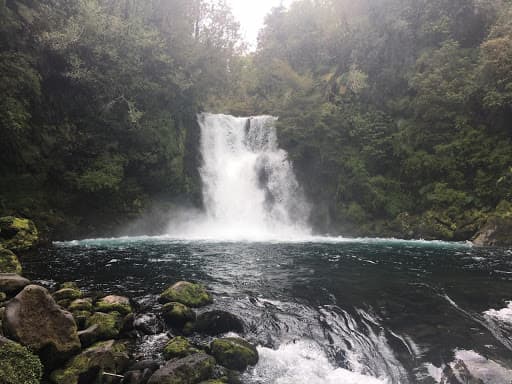 Corte de Puerto Montt desestimó recurso de protección deducido contra resolución que autorizó la construcción de la central hidroeléctrica de pasada Río Negro Hornopirén.