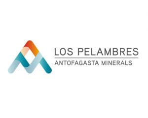 Primer Tribunal Ambiental confirma resolución exenta de la Superintendencia del Medio Ambiente que archiva denuncia contra Minera Los Pelambres.