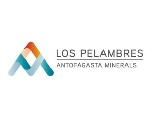 Primer Tribunal Ambiental confirma resolución exenta de la Superintendencia del Medio Ambiente que archiva denuncia contra Minera Los Pelambres.