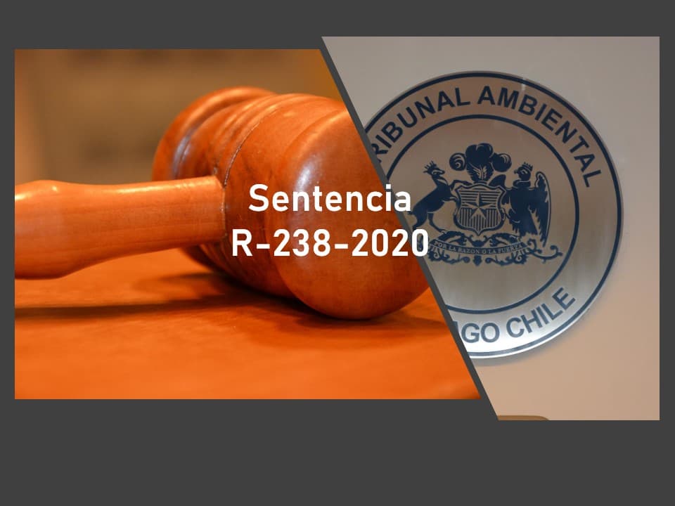 Segundo Tribunal ambiental acoge parcialmente reclamación interpuesta contra resolución asociada a invalidación de plan de manejo aprobado por CONAF.
