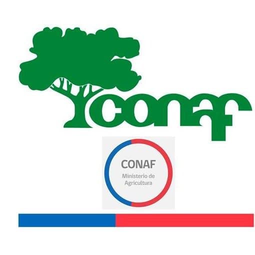 CGR dictamina que le corresponde a CONAF aprobar los planes de manejo de corta y reforestación de bosques nativos para ejecutar obras civiles, pero no la fiscalización o evaluación del diseño y condiciones técnicas de la obra.