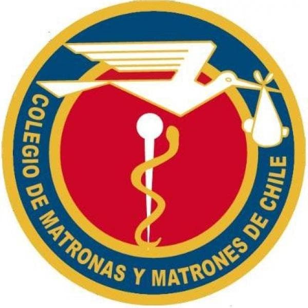 www.colegiodematronas.cl