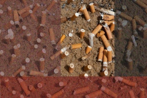 Imagen: Senado