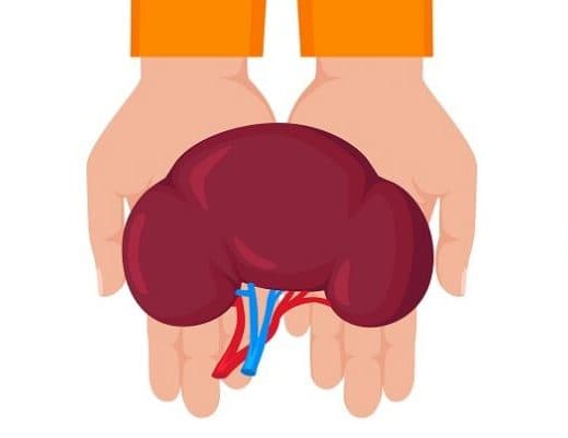 Imagen: Medicina UC.