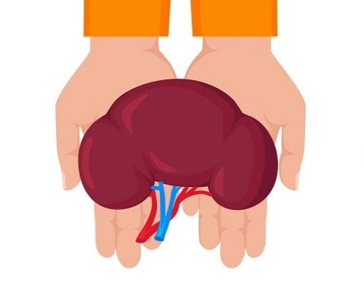 Imagen: Medicina UC.