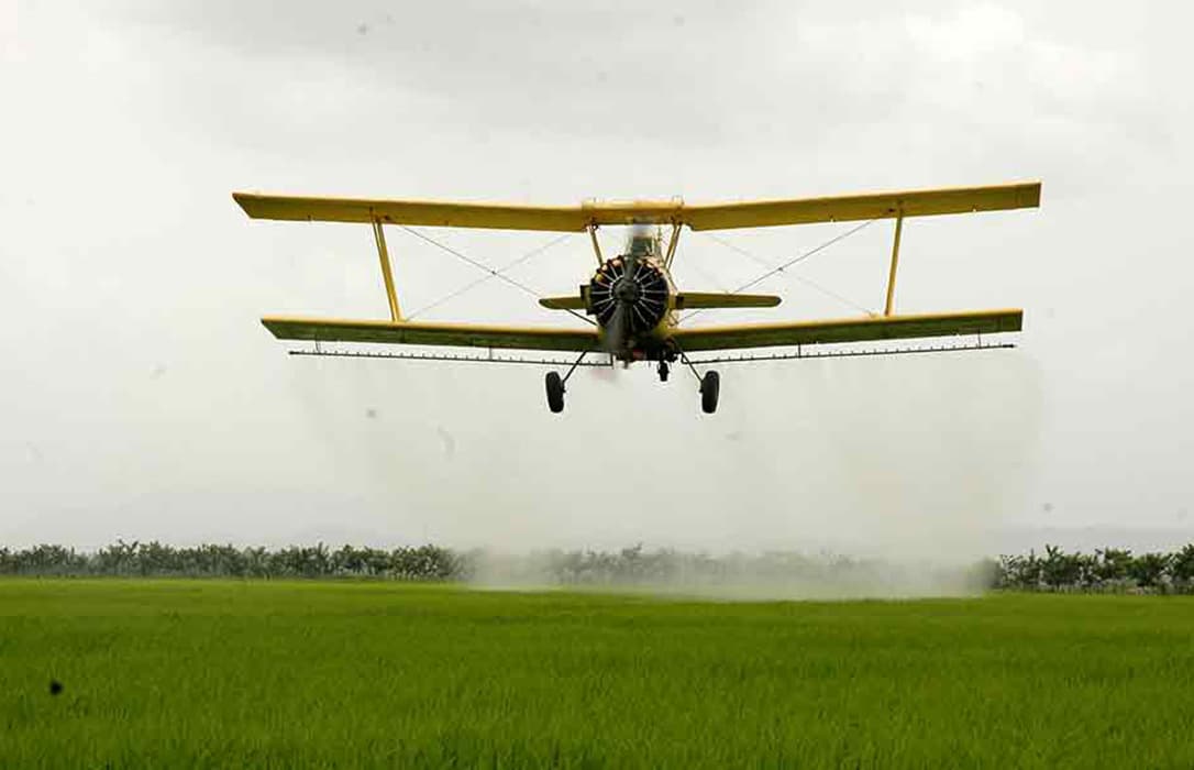 Imagen: Agroinformación.com