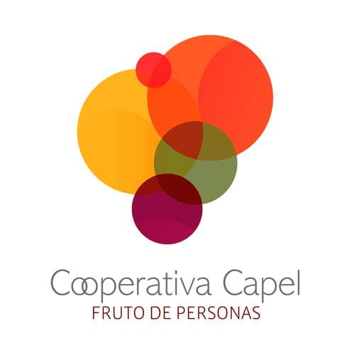 Imagen: www.cooperativacapel.cl