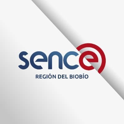 CS confirma fallo que acogió demanda por despido discriminatorio de funcionario público.