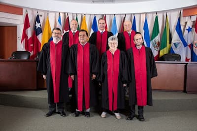 Dipublico