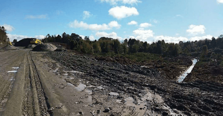 Tercer Tribunal Ambiental ordena paralización de obras de inmobiliaria sobre humedales Alto La Paloma y la Wuiña de Puerto Montt.