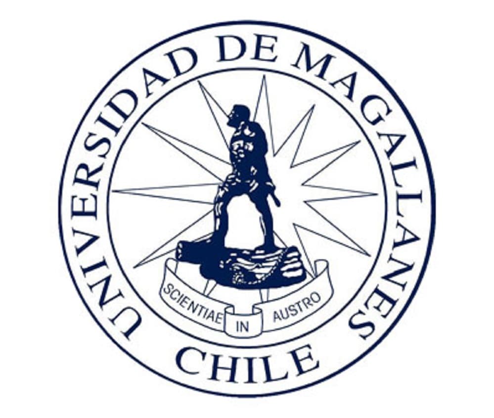Recurso de amparo económico deducido contra Universidad de Magallanes por poner término anticipado a contrato, es rechazado.
