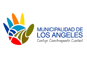Recurso de protección de funcionaria municipal obligada a restituir asignación eventualmente mal percibida, es acogido. La decisión se adoptó sin procedimiento previo alguno.