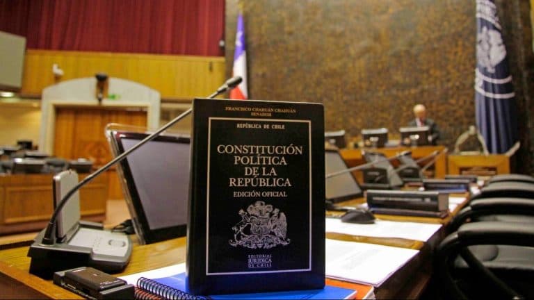 Iniciativa Convencional Constituyente Consagra el Derecho a la Vida y el Principio de Primacía de la Persona Humana.