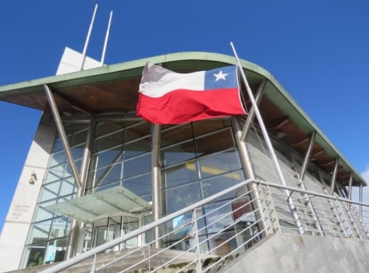 Corte de Valdivia confirma fallo que ordena a inmobiliaria reforestar con árboles nativos sector costero.