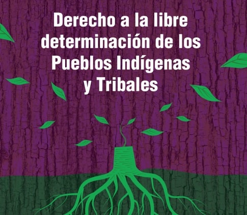 CIDH presenta el informe: «Derecho a la libre determinación de los Pueblos Indígenas y Tribales».