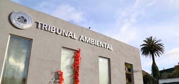 Empresaria agrícola solicita a Tribunal Ambiental dejar sin efecto Resolución Exenta que declaró predio como humedal urbano.
