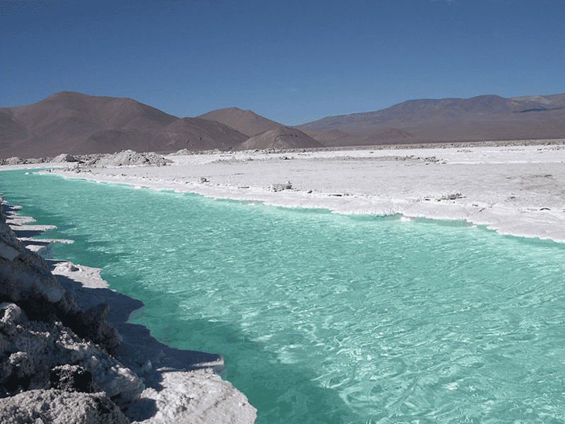 Gobierno Regional de Atacama intenta frenar licitación para explotar litio.