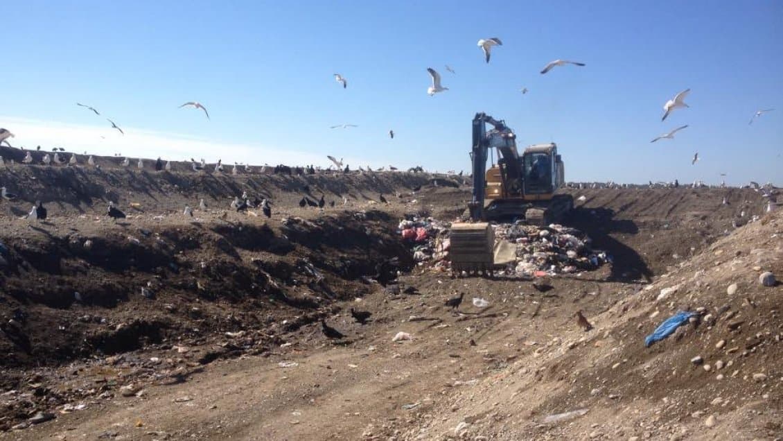 Imagen: cooperativa