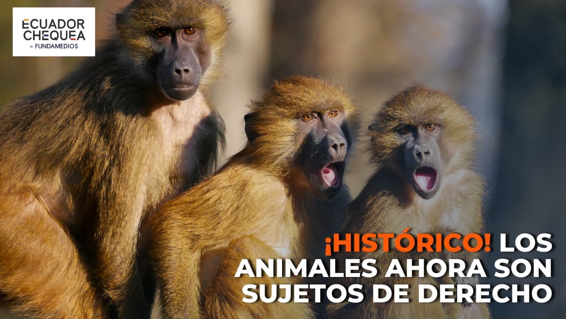 Imagen: Ecuador Chequea.