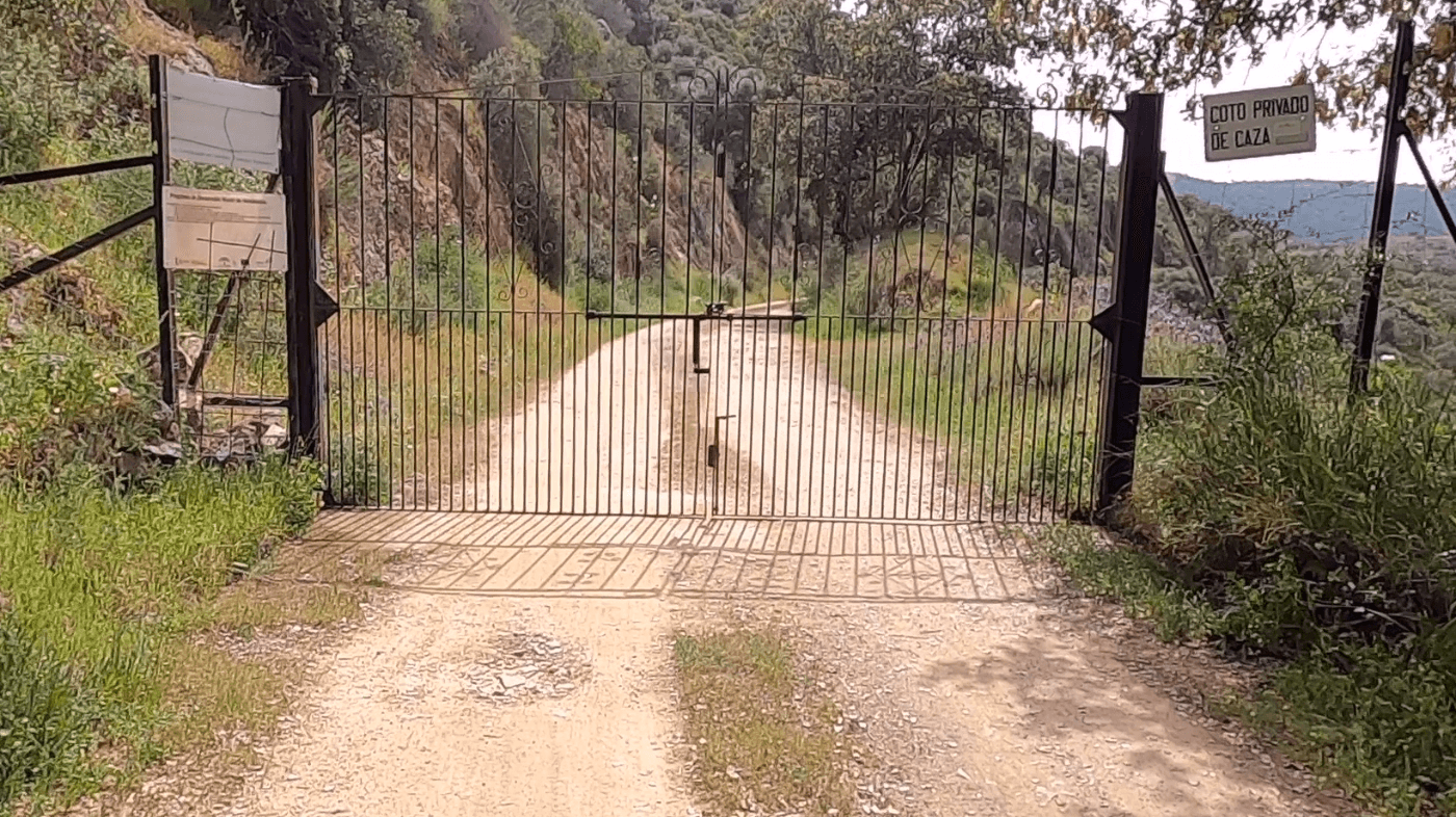 Empresa forestal debe retirar portón que instaló para impedir el acceso de vecinos a sus predios.