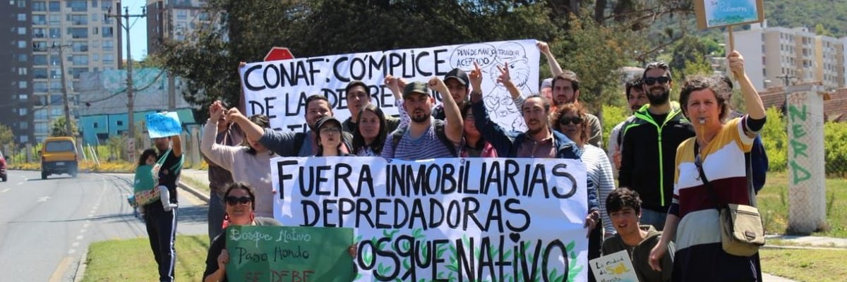 Imagen: diariolaquinta.cl