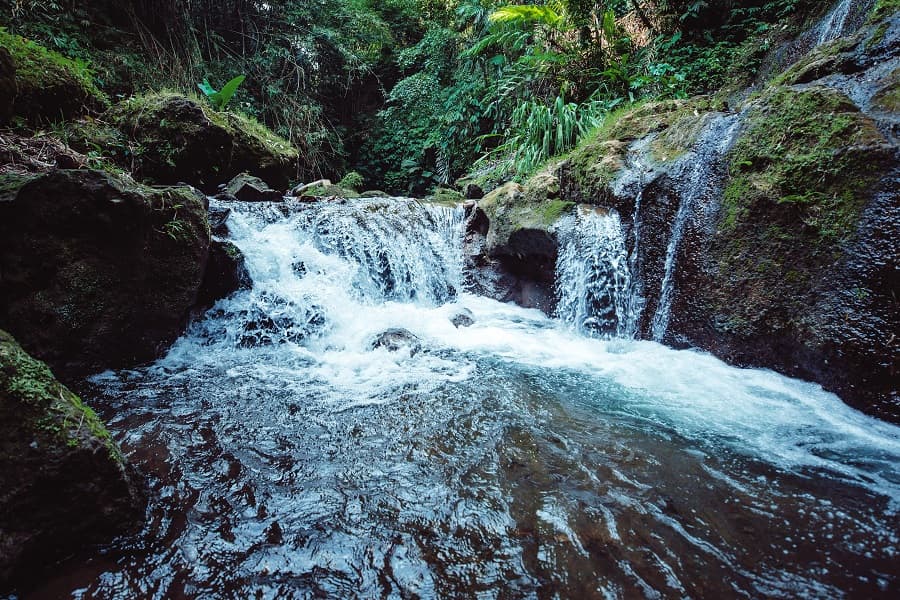 Inapropiabilidad del agua: los riesgos de eliminar el derecho de aprovechamiento.