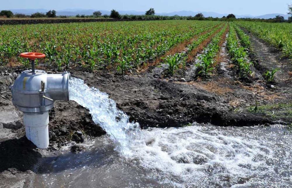 Derecho de aprovechamiento de aguas sobre un estero no autoriza a la construcción de un pozo en una de sus orillas, resuelve la Corte Suprema.