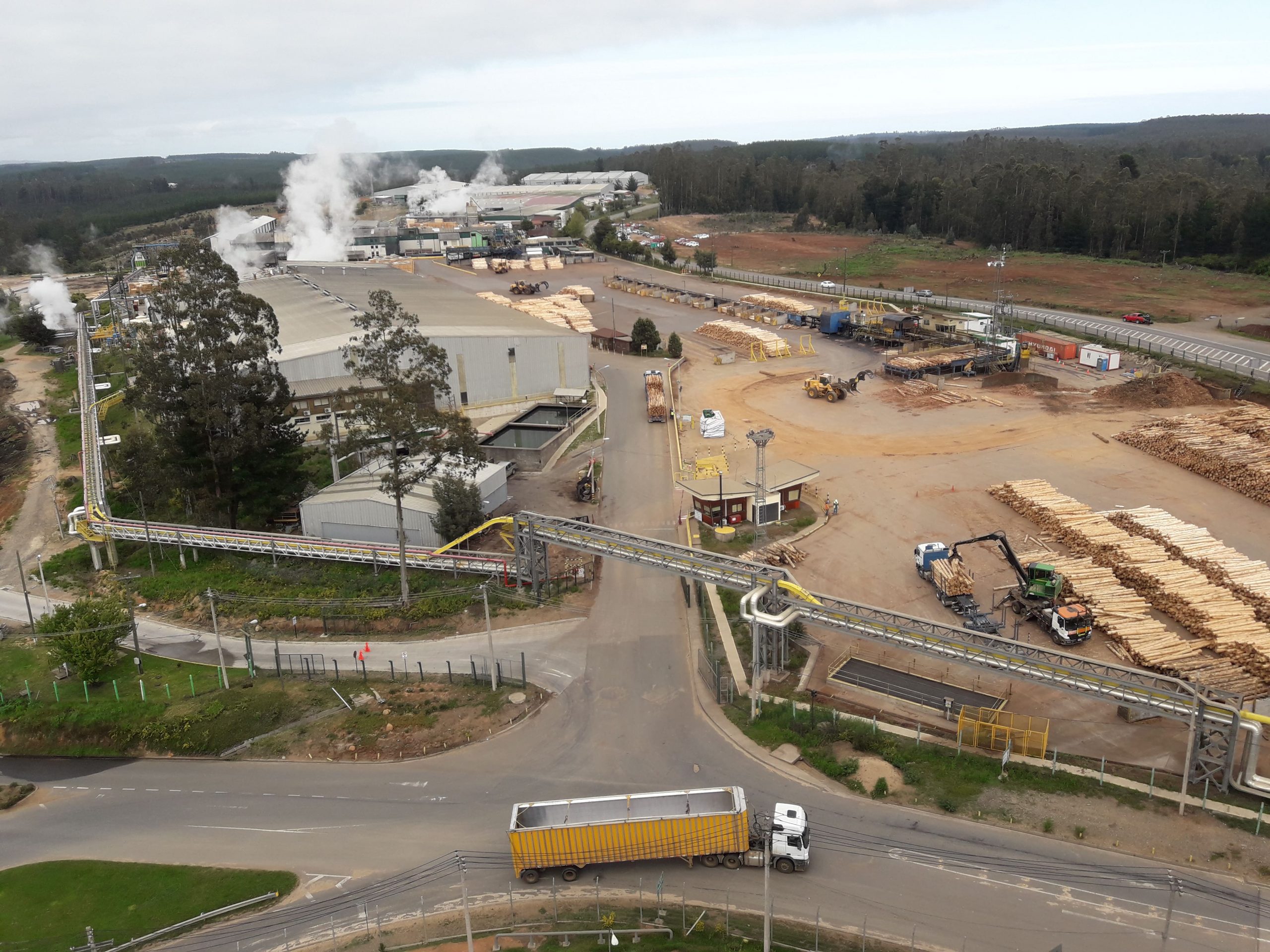 Imagen: arauco.cl