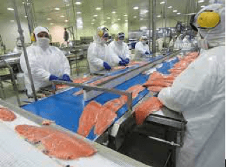 SMA revoca permisos ambientales a tres Centros de Engordas Salmónidos de la empresa Nova Austral y aplica millonaria multa.