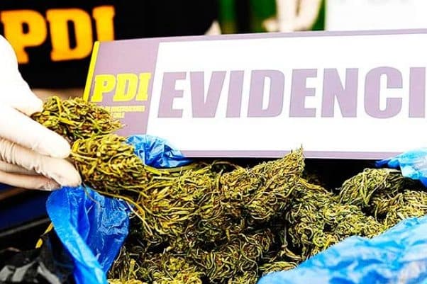 Cámara Baja analiza presencia de carteles de droga en Chile.