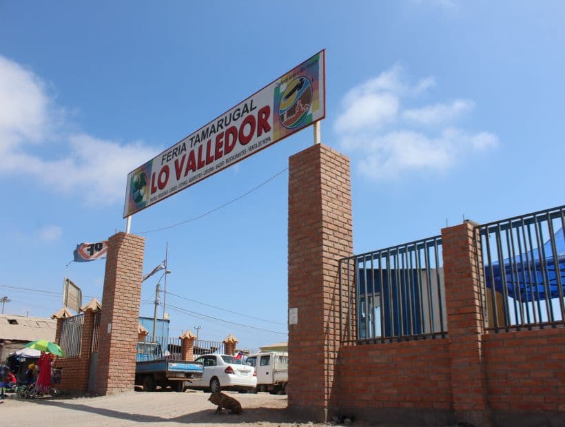 Orden de la Delegación Presidencial de Tarapacá para desalojar a agrupación indígena que ocupa un terreno fiscal es ilegal y arbitraria, resuelve la Corte Suprema.