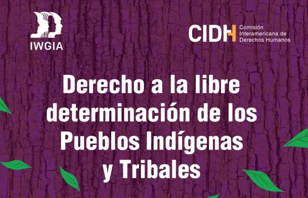 CIDH llamó a los Estados a construir nuevas relaciones con los pueblos indígenas basadas en el respeto a su libre determinación.