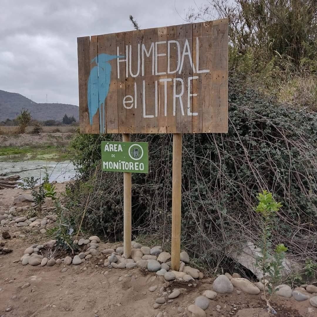 Segundo Tribunal Ambiental realizó audiencia en reclamación contra el Ministerio del Medio Ambiente que busca modificar el área del humedal urbano Estero El Litre ubicado en la Provincia de Quillota.