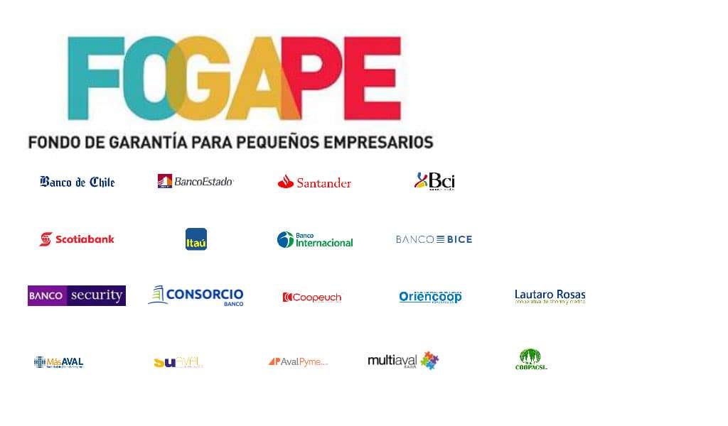Corte Suprema envía al Congreso informe sobre proyecto de ley que flexibiliza pago de crédito Fogape.