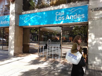 Caja de Compensación infringe la Ley del Consumidor al poner a disposición de sus clientes un folleto explicativo de los roles y responsabilidades de los avalistas y codeudores con información incompleta.