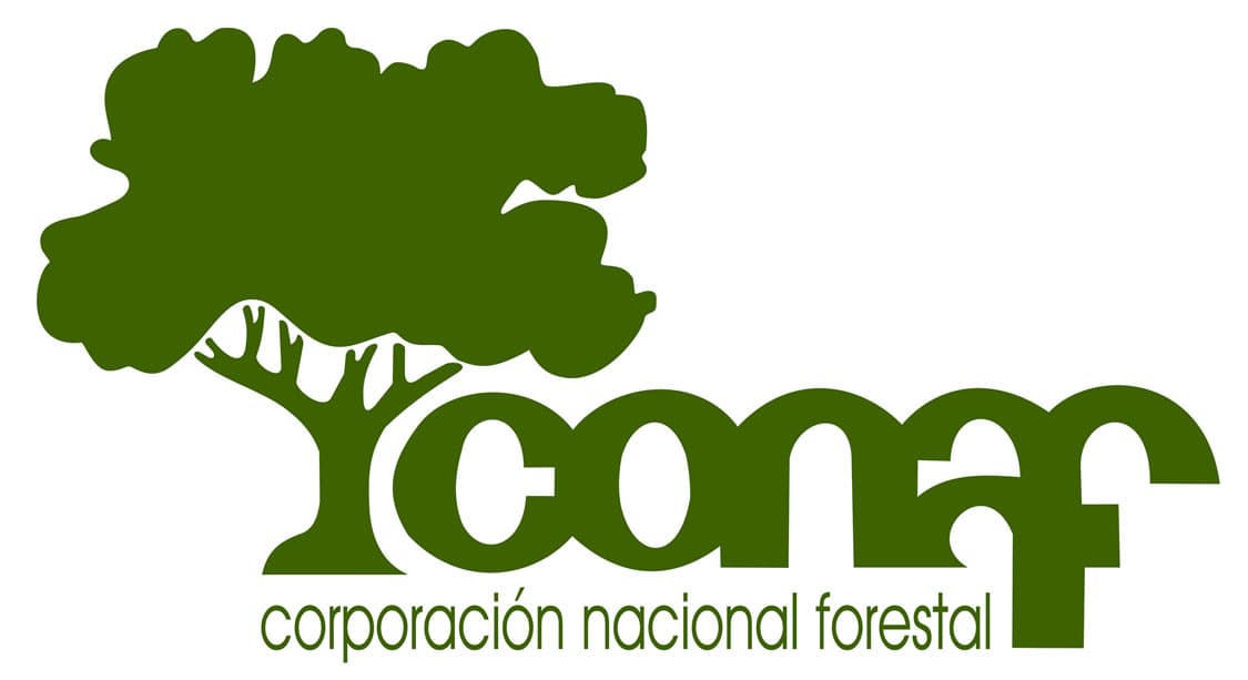 CONAF debe proporcionar información relativa a solicitudes de tala de árboles desde el año 2010 en la localidad de Curaco de la Región de la Araucanía.