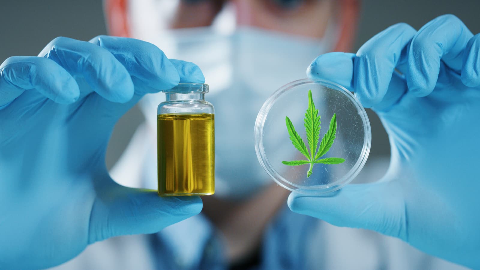 Funcionario de Carabineros arrojó positivo al consumo de THC, pero lo fue por prescripción médica por lo que su destitución deviene en ilegal, resuelve la Corte de Santiago.