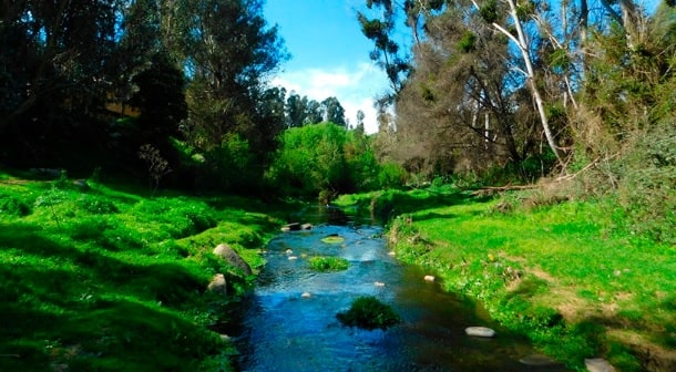 Imagen: soychile.cl
