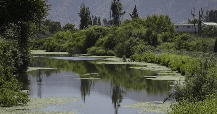 Imagen: biobiochile.cl