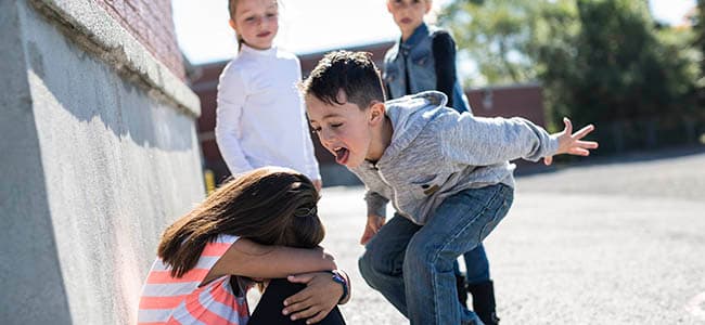 Integridad física y psíquica de niña de tercero básico víctima de bullyng ejercido por un compañero no se vulnera por el establecimiento educacional si este adoptó las medidas y procedimientos que prevé el reglamento.