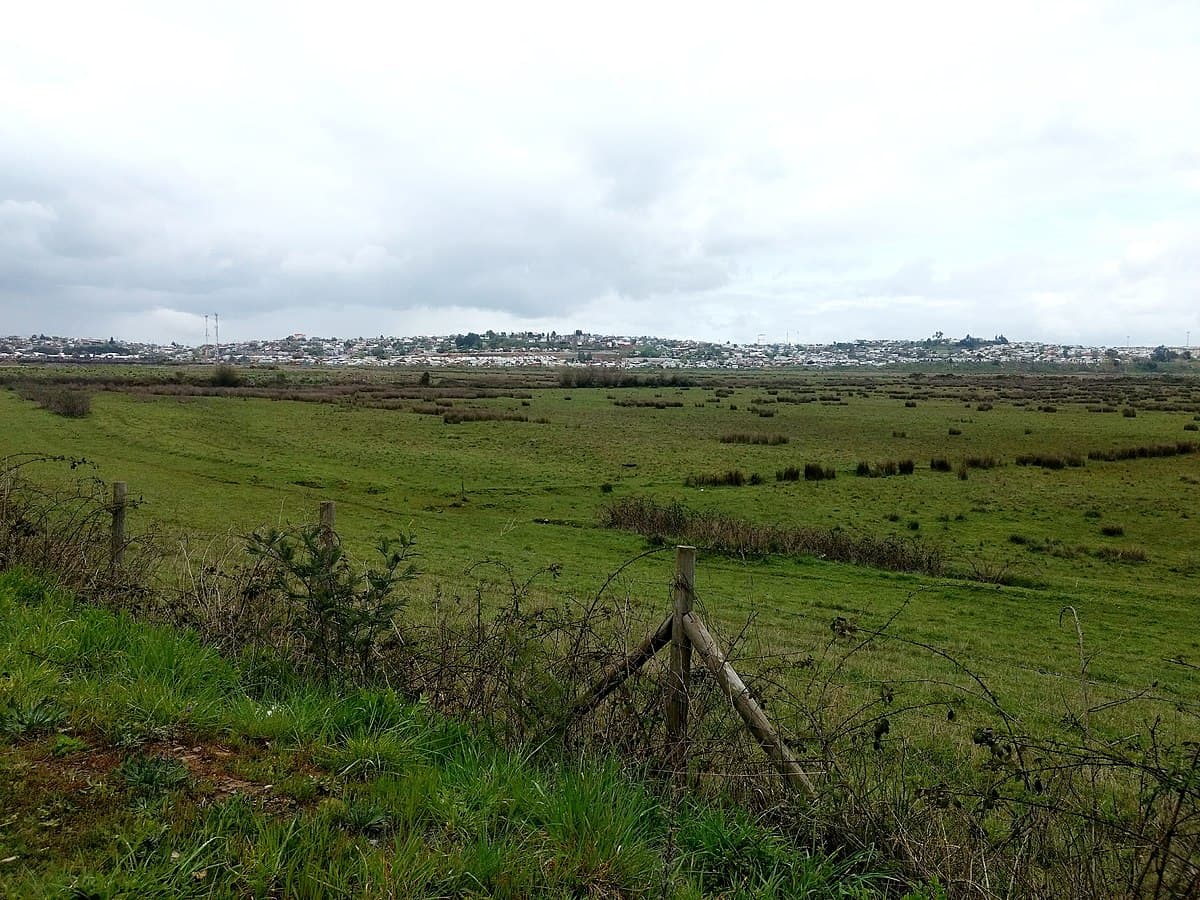 Tercer Tribunal Ambiental: Se acogieron parcialmente reclamaciones contra Ministerio del Medio Ambiente por declaratoria de humedal urbano “Vegas de Chivilcán”.